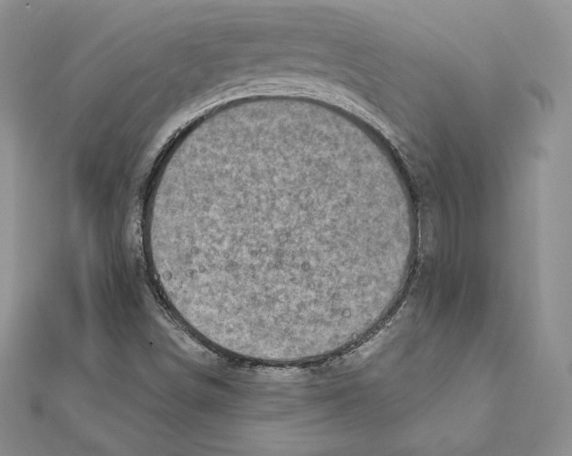 X0000111131498200907281039