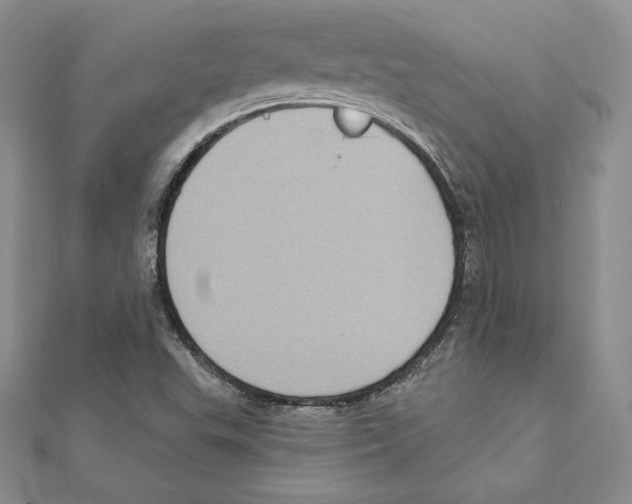 X0000111131503200907281039