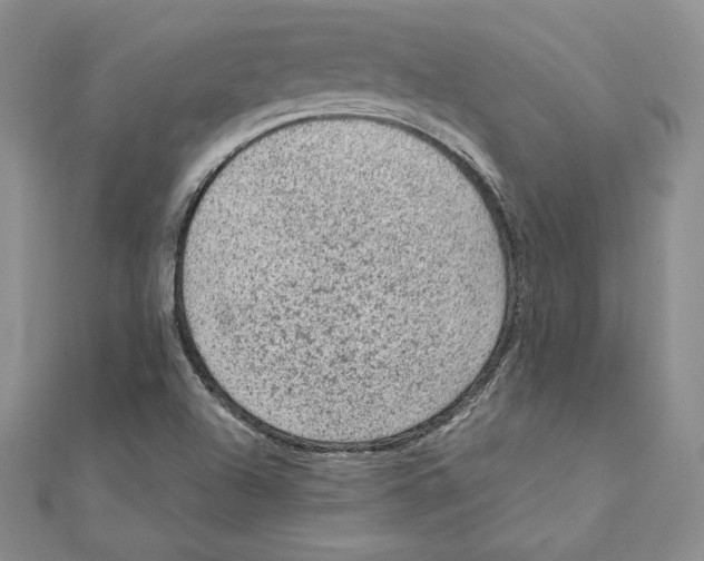 X0000111131504200907281039