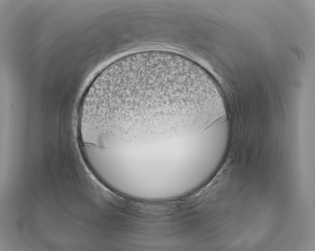 X0000111131508200907281039