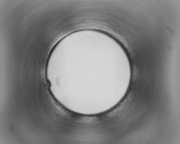 X0000111131513200907281039