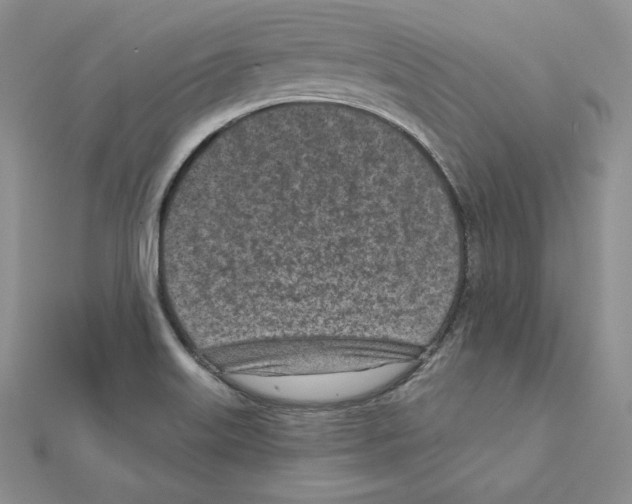 X0000111131515200907281039