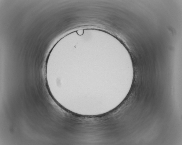 X0000111131516200907281039