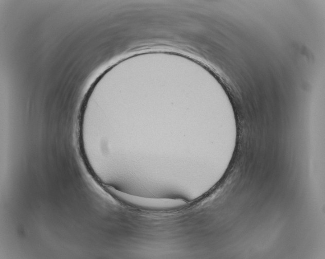 X0000111131518200907281039
