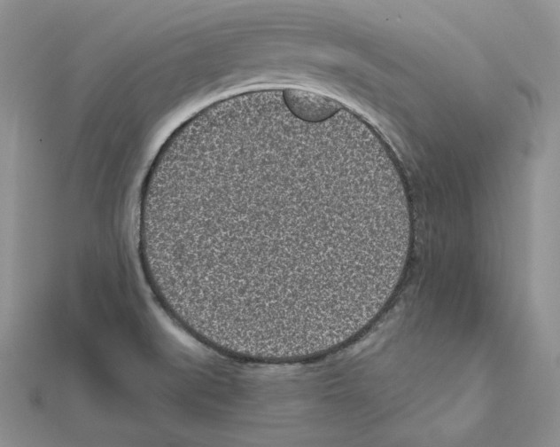 X0000111131519200907281039