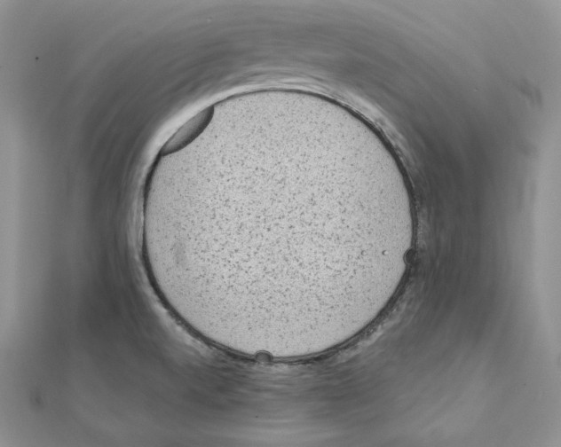 X0000111131520200907281039