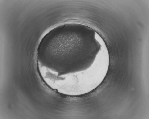 X0000111131522200907281040