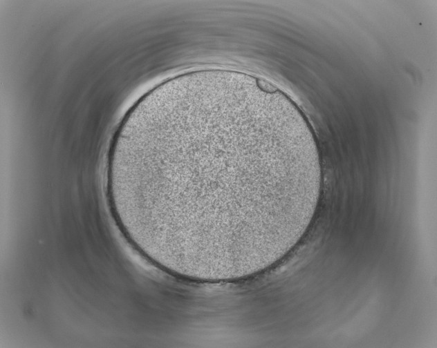 X0000111131523200907281040