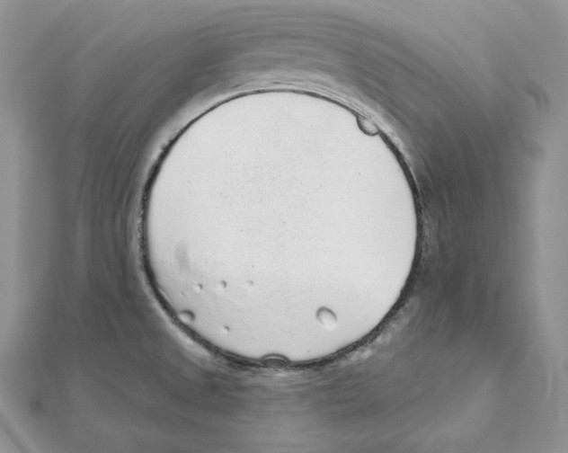 X0000111131525200907281040