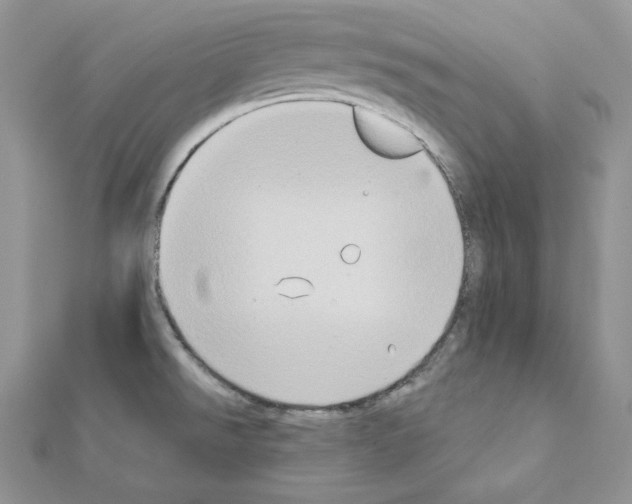 X0000111131526200907281040