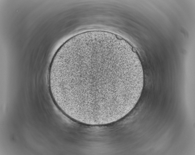 X0000111131527200907281040