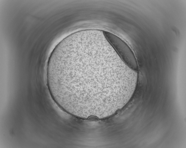 X0000111131528200907281040