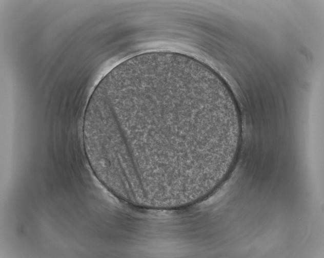 X0000111131529200907281040