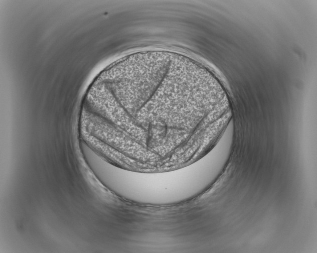 X0000111131530200907281040