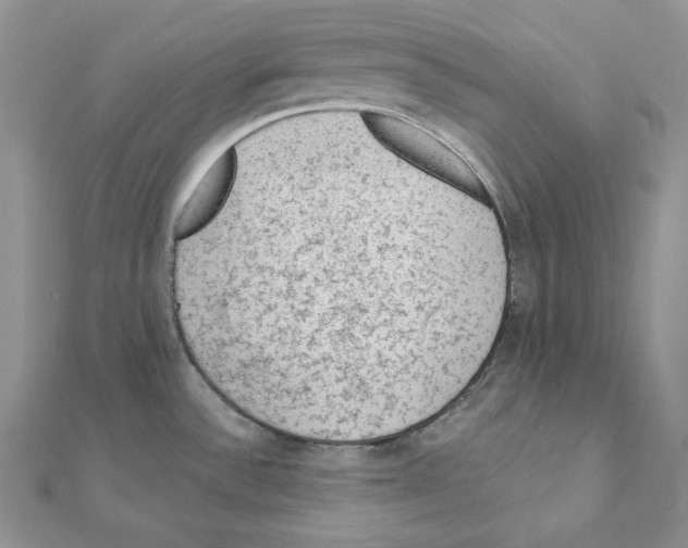 X0000111131532200907281040