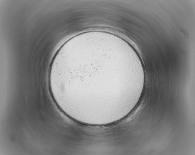 X0000111131533200907281040