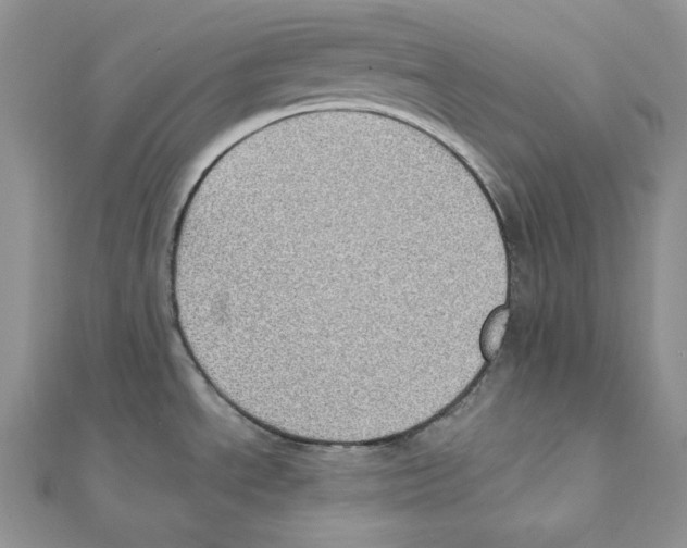 X0000111131534200907281040