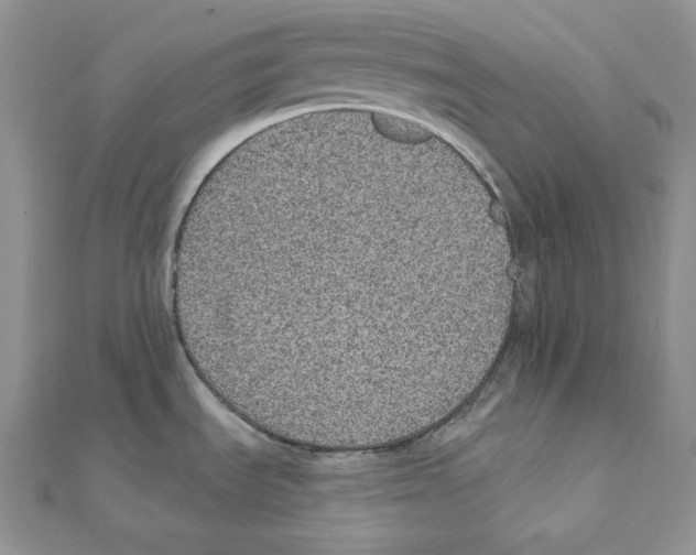 X0000111131535200907281040