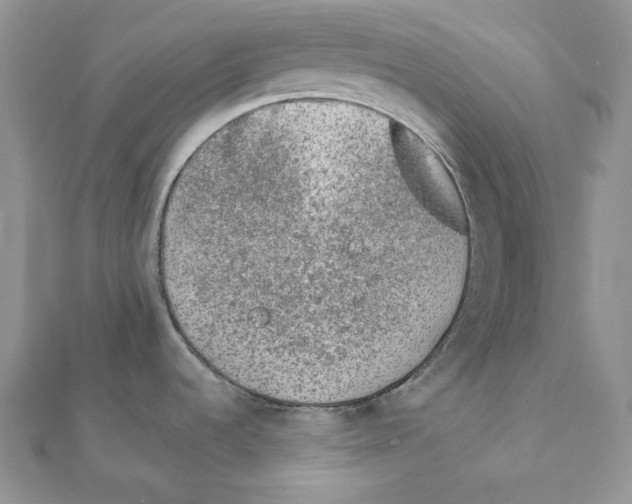 X0000111131536200907281040