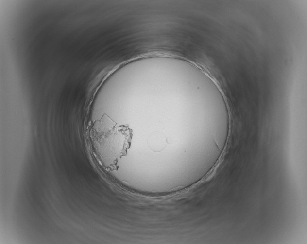 X0000111130001200908111048