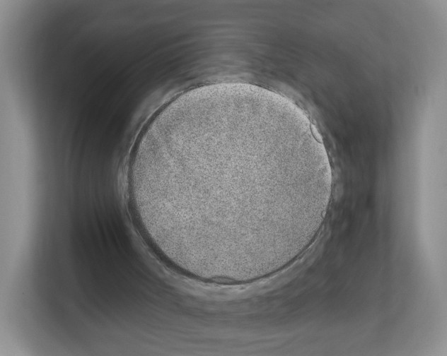 X0000111130002200908111048