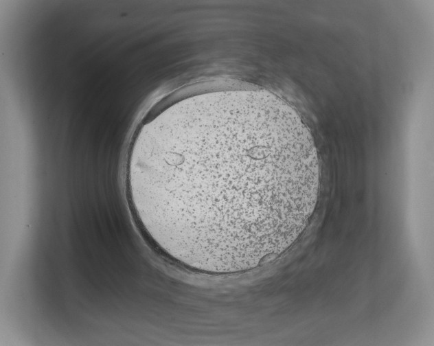 X0000111130003200908111048