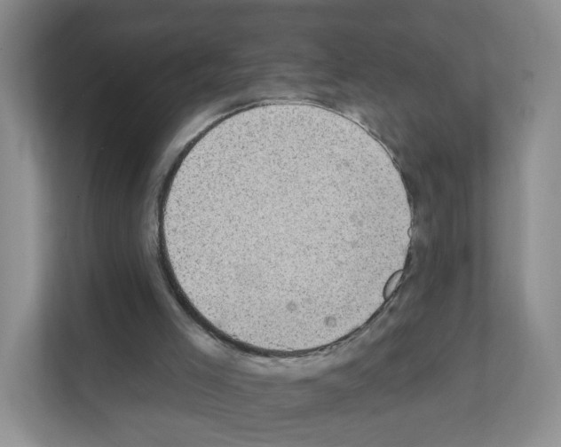 X0000111130005200908111048