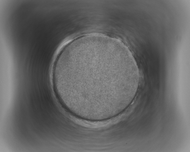 X0000111130006200908111048