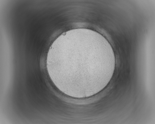 X0000111130010200908111048
