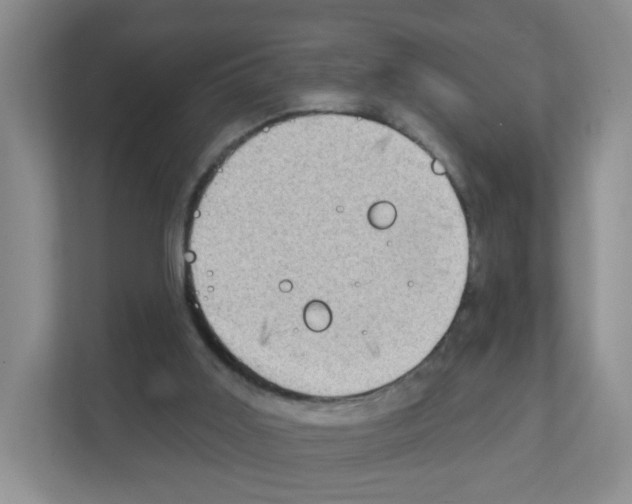 X0000111130011200908111048