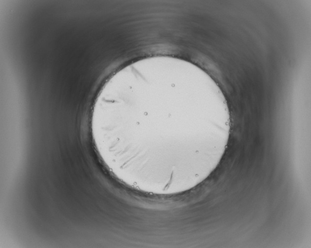 X0000111130012200908111048