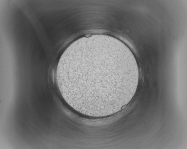 X0000111130013200908111048