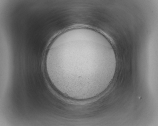 X0000111130015200908111048
