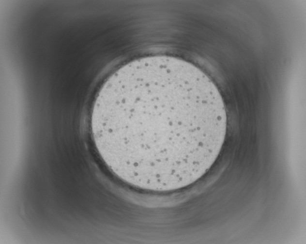 X0000111130016200908111048