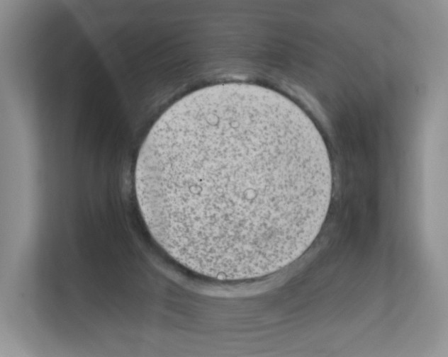 X0000111130017200908111048