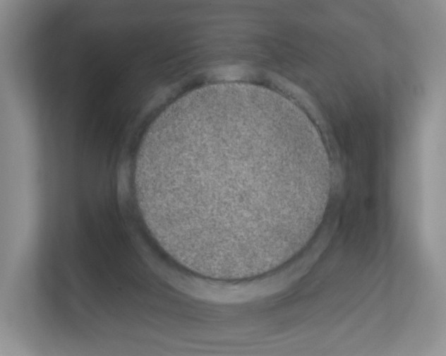 X0000111130018200908111048