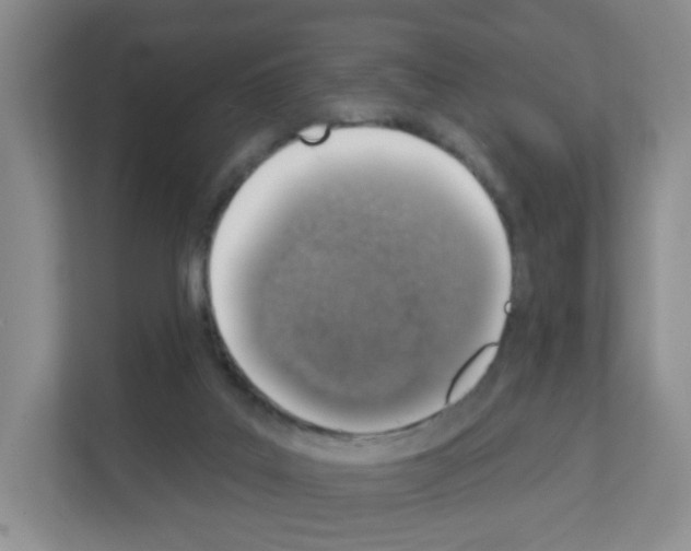 X0000111130019200908111048