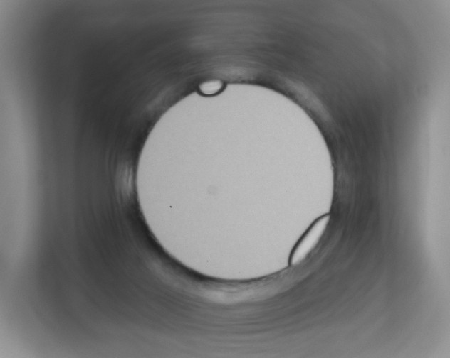 X0000111130021200908111048