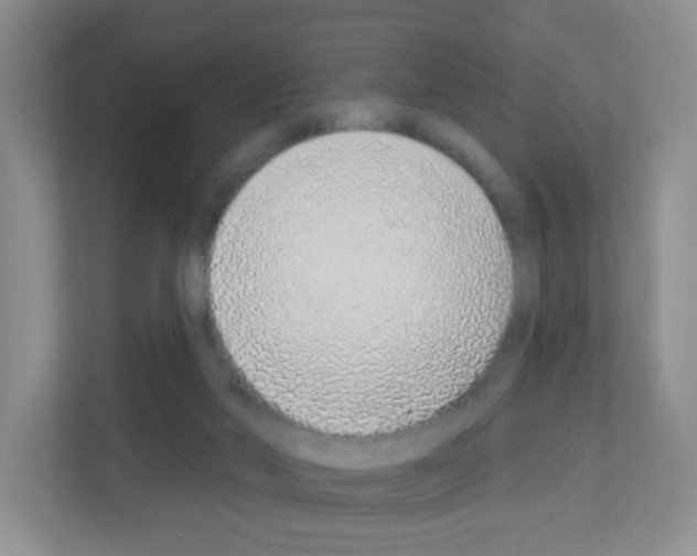 X0000111130022200908111048