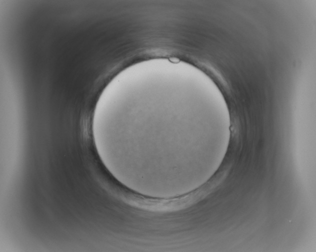 X0000111130023200908111048