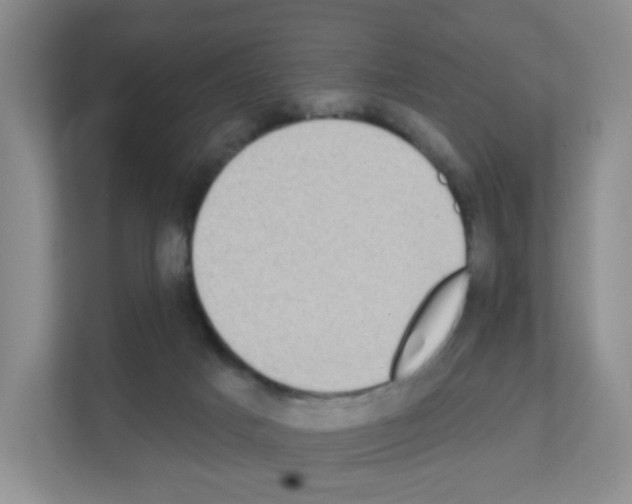X0000111130025200908111048