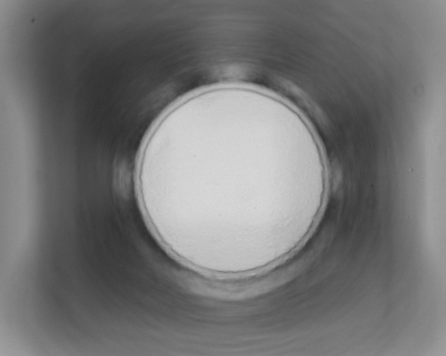 X0000111130026200908111048
