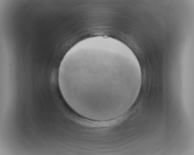 X0000111130031200908111048