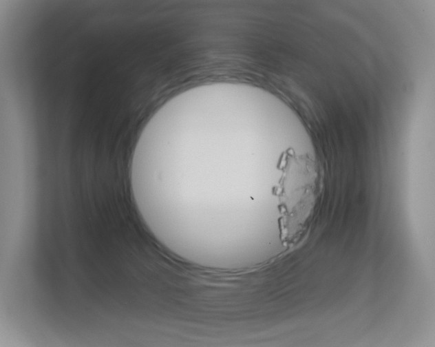 X0000111130033200908111048