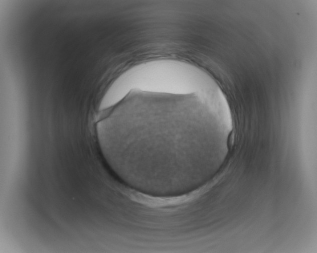 X0000111130035200908111048