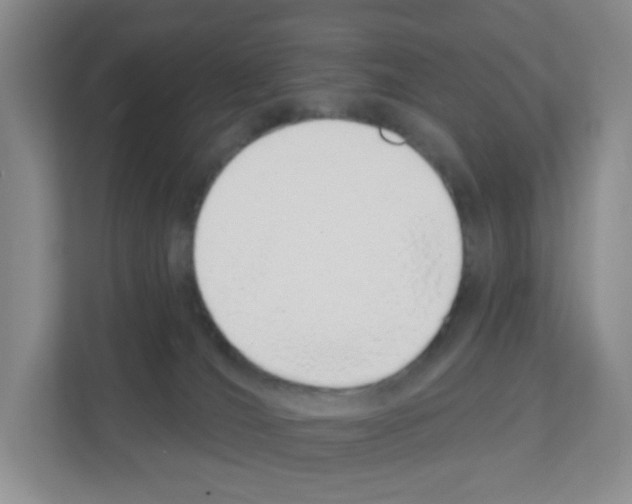 X0000111130036200908111048