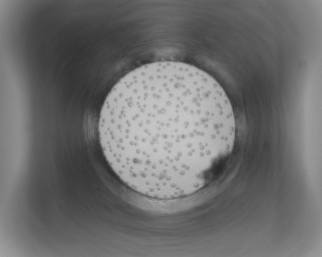 X0000111130038200908111048