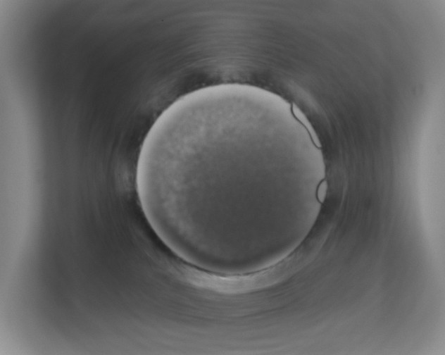 X0000111130039200908111048