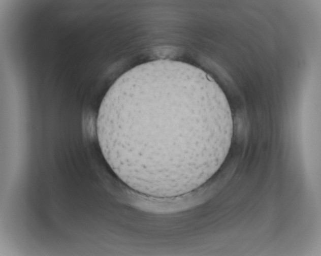X0000111130042200908111048