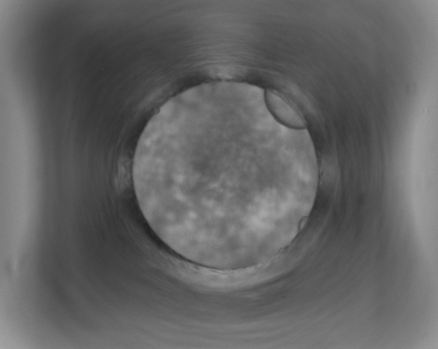 X0000111130043200908111048